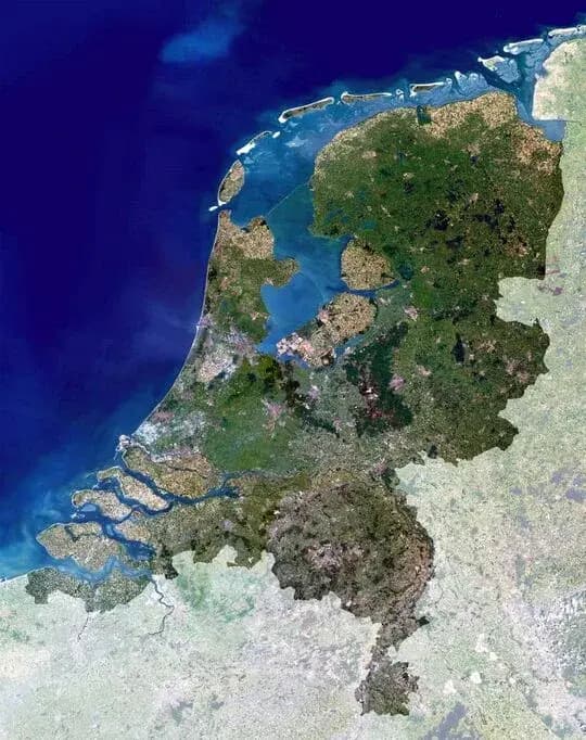 Een merk zonder klassiek dealernetwerk verkopen: wat betekent dat?